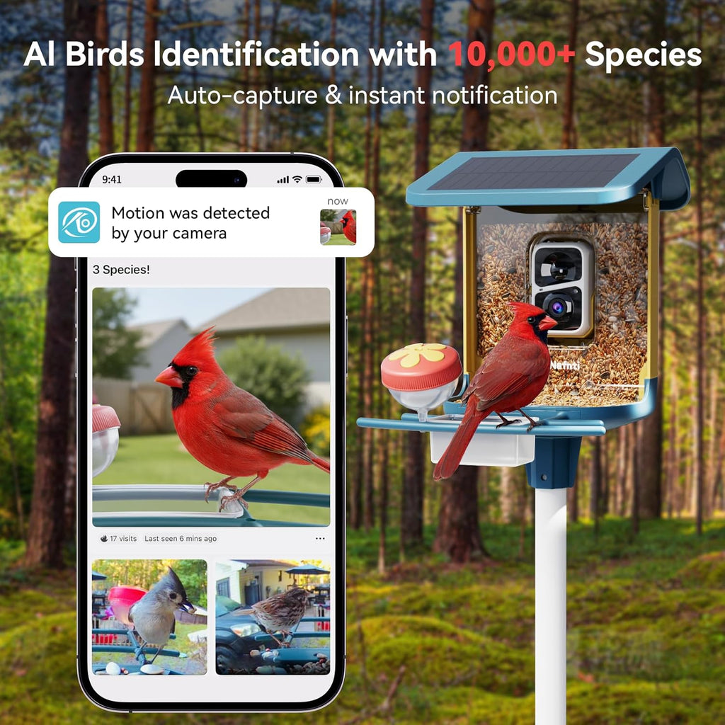 OPEN BOX - Nafnti Bird Feeder Smart Camera