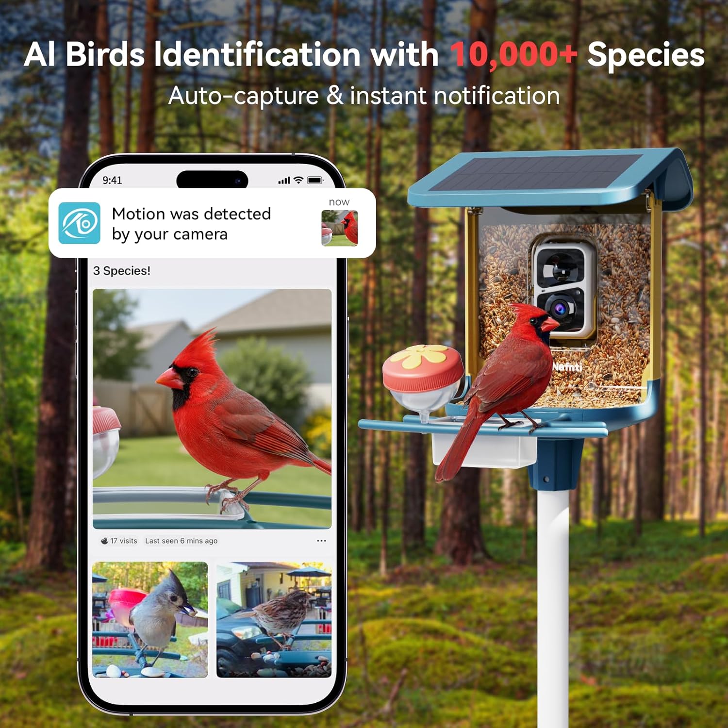 OPEN BOX - Nafnti Bird Feeder Smart Camera